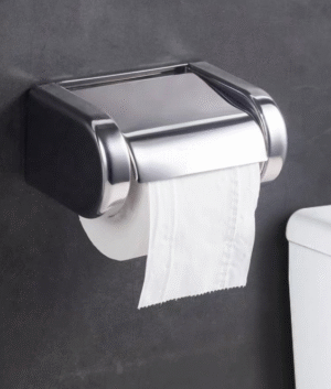 Steel Paper Towel Dispenser